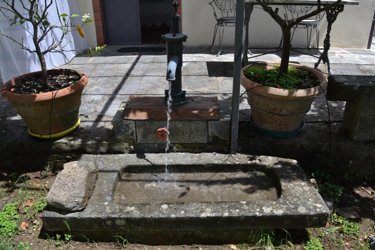 Willa La Limonaia Di Casagrande Barga Zewnętrze zdjęcie