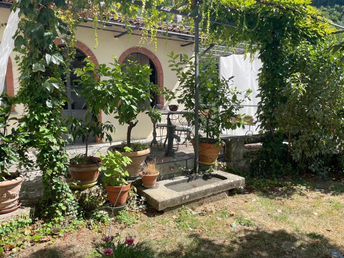 Willa La Limonaia Di Casagrande Barga Zewnętrze zdjęcie