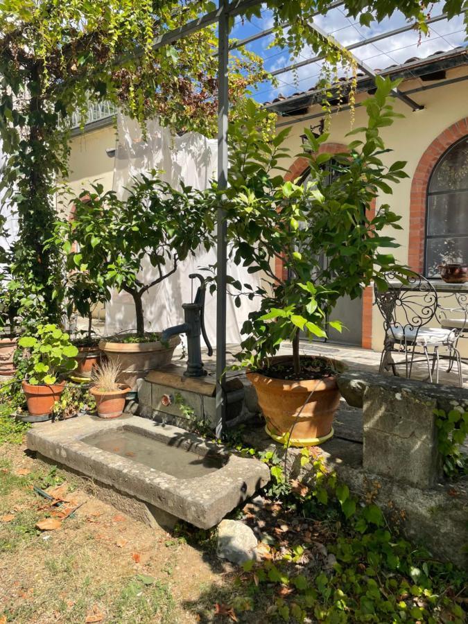 Willa La Limonaia Di Casagrande Barga Zewnętrze zdjęcie
