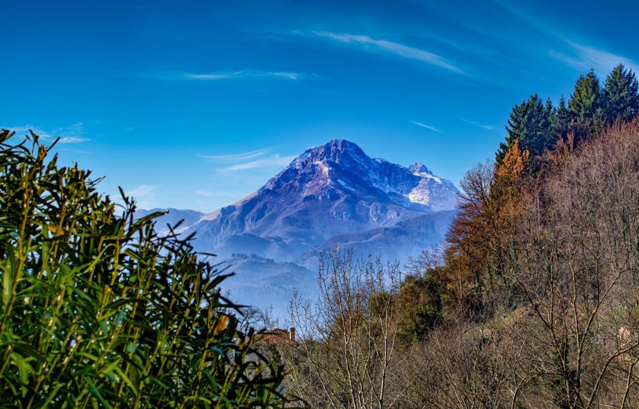 Willa La Limonaia Di Casagrande Barga Zewnętrze zdjęcie